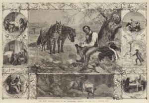 De Burns-eeuw, Burns in het ploegveld die zijn gedicht 
